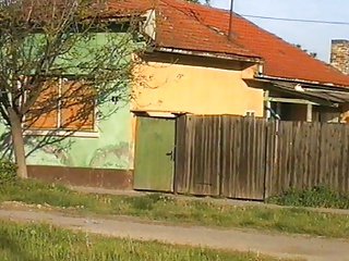 Serbian